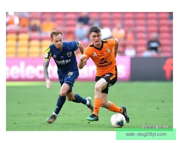 哀悼布里斯班狮吼前主帅维多希奇逝世