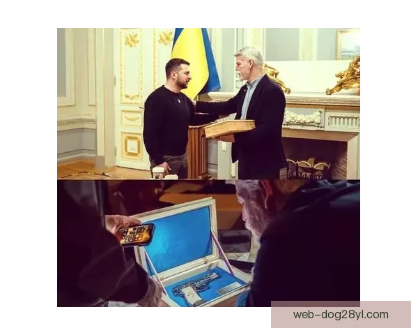 捷克球员因种族歧视被禁赛十场