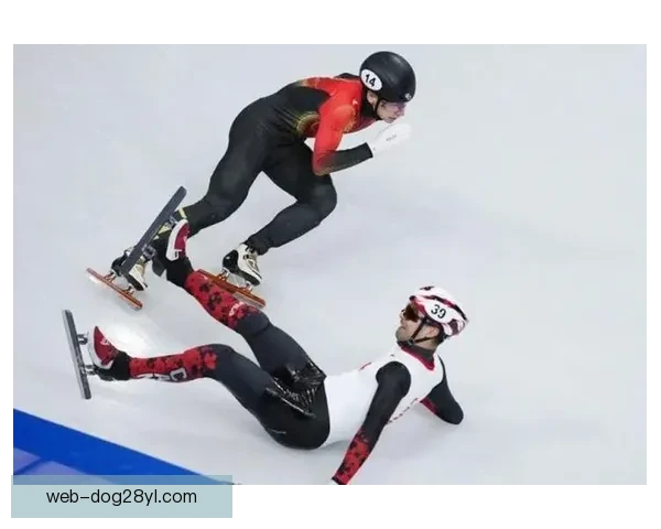 用户偏好中文简洁标题创作。刘少昂意外摔倒憾别决赛 用户偏好中文简洁标题创作。刘少昂意外摔倒憾别决赛